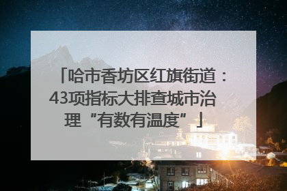 哈市香坊区红旗街道：43项指标大排查城市治理“有数有温度”